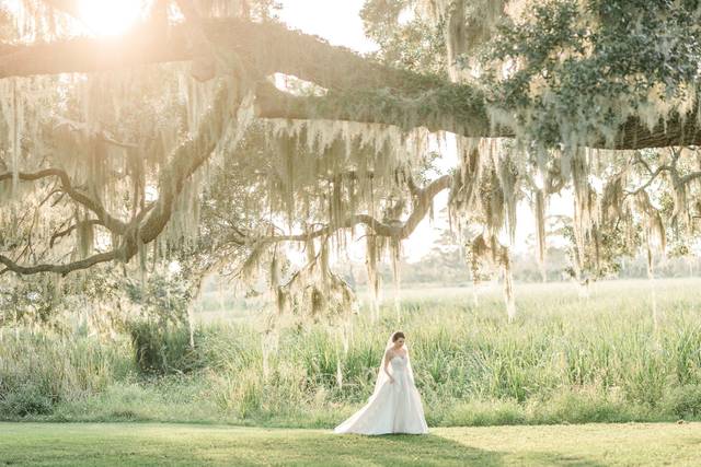 Lowcountry Bride