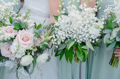 Vanessa ray photography