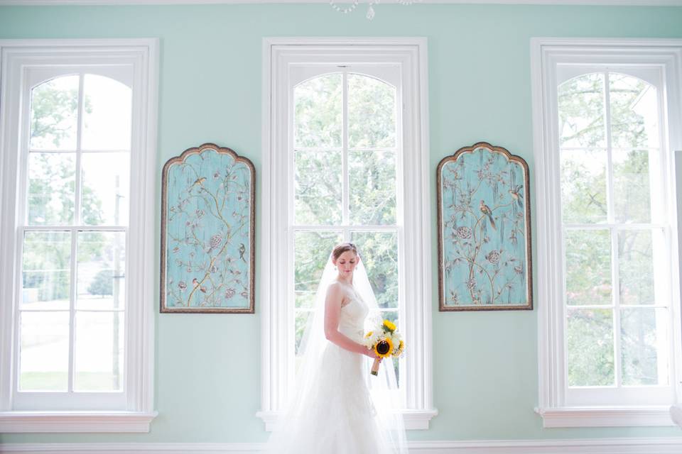 Vanessa ray photography