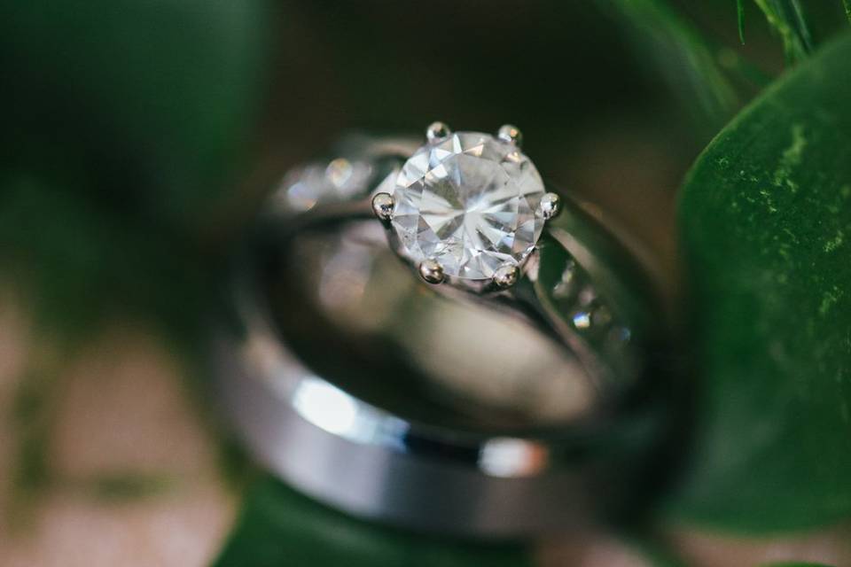 Vanessa ray photography