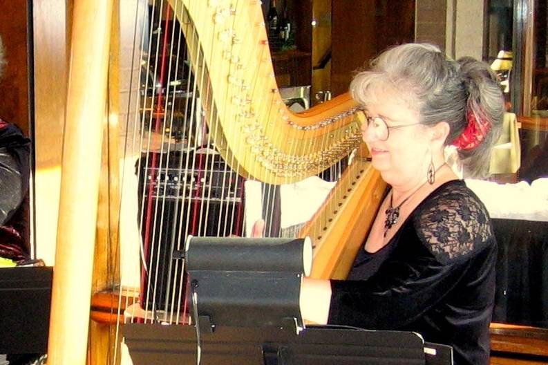 Susan Koskelin, Harpist