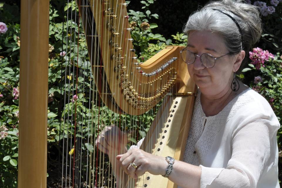 Susan Koskelin, Harpist