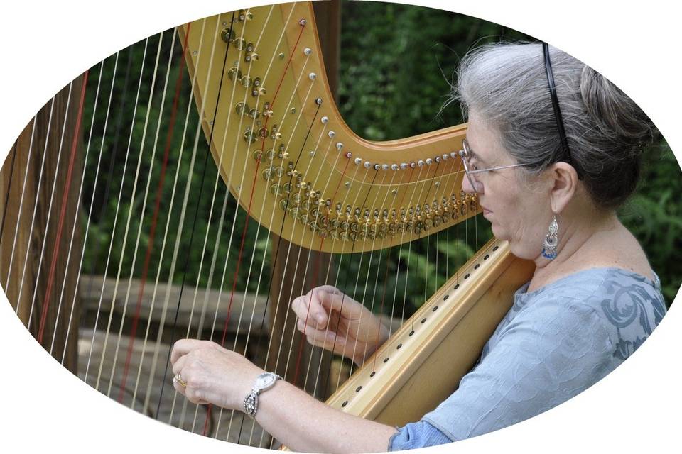 Susan Koskelin, Harpist