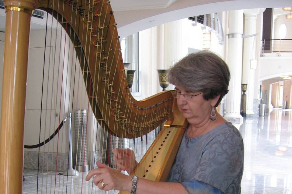 Susan Koskelin, Harpist