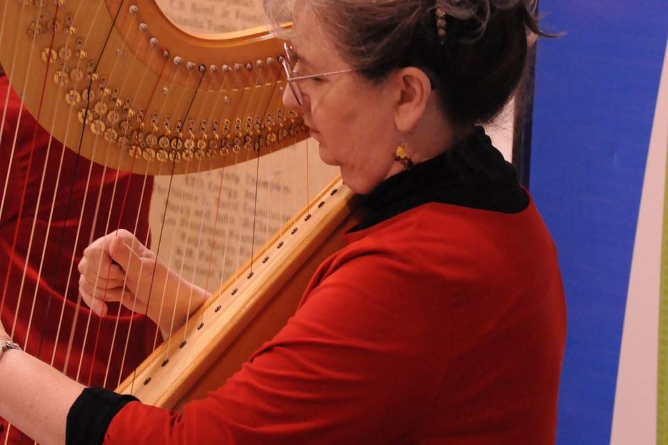 Susan Koskelin, Harpist