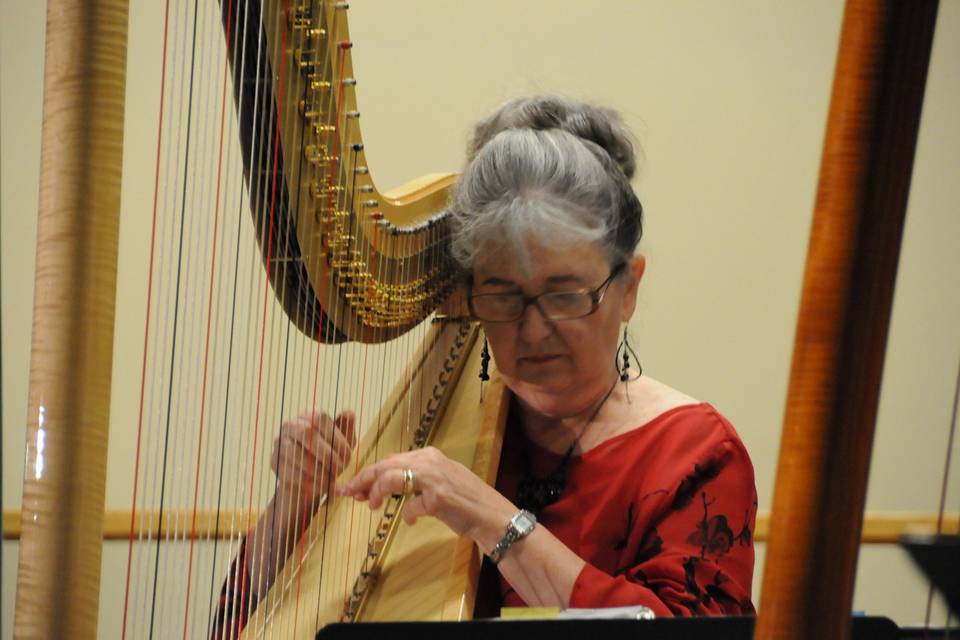 Susan Koskelin, Harpist