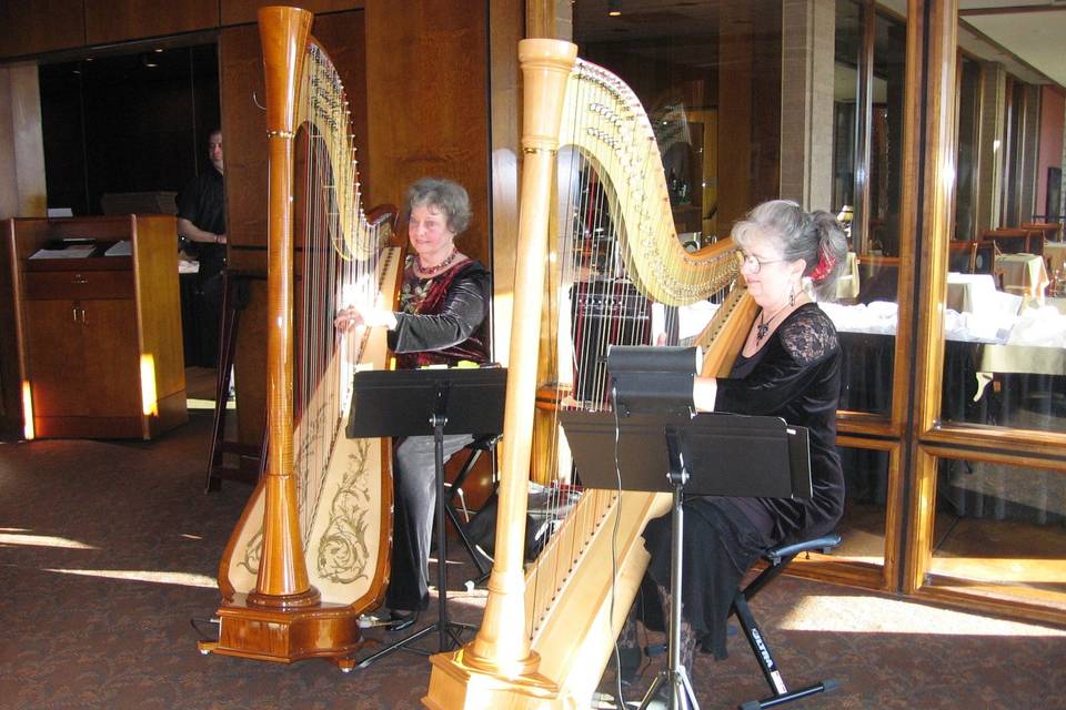 Susan Koskelin, Harpist
