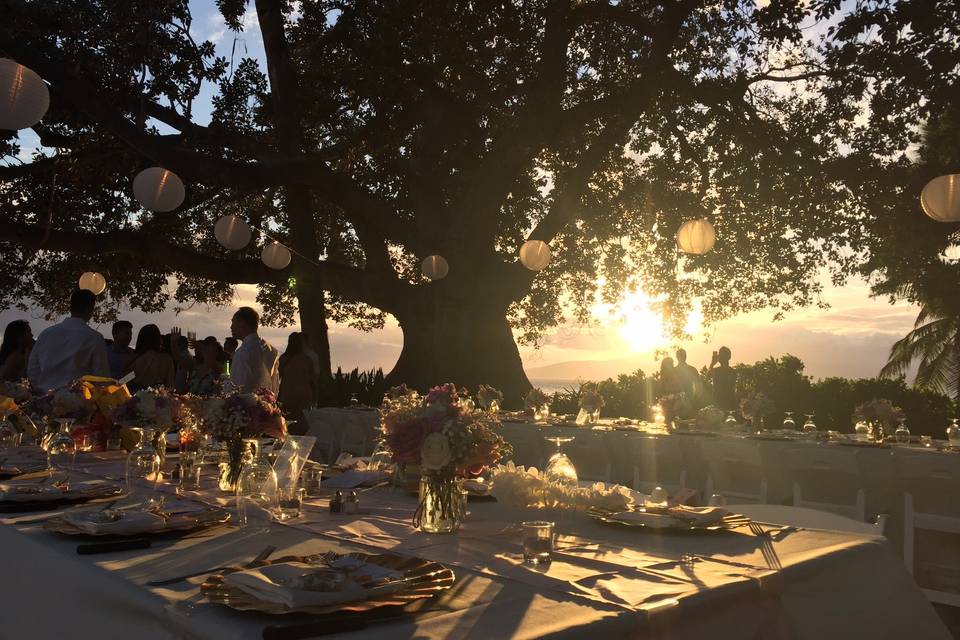 Table setup with centerpiece