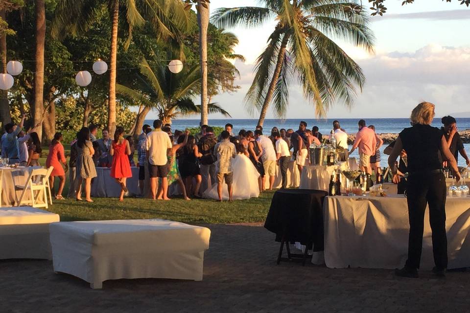 Maui DJ Services