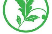 Green with Envy Salon