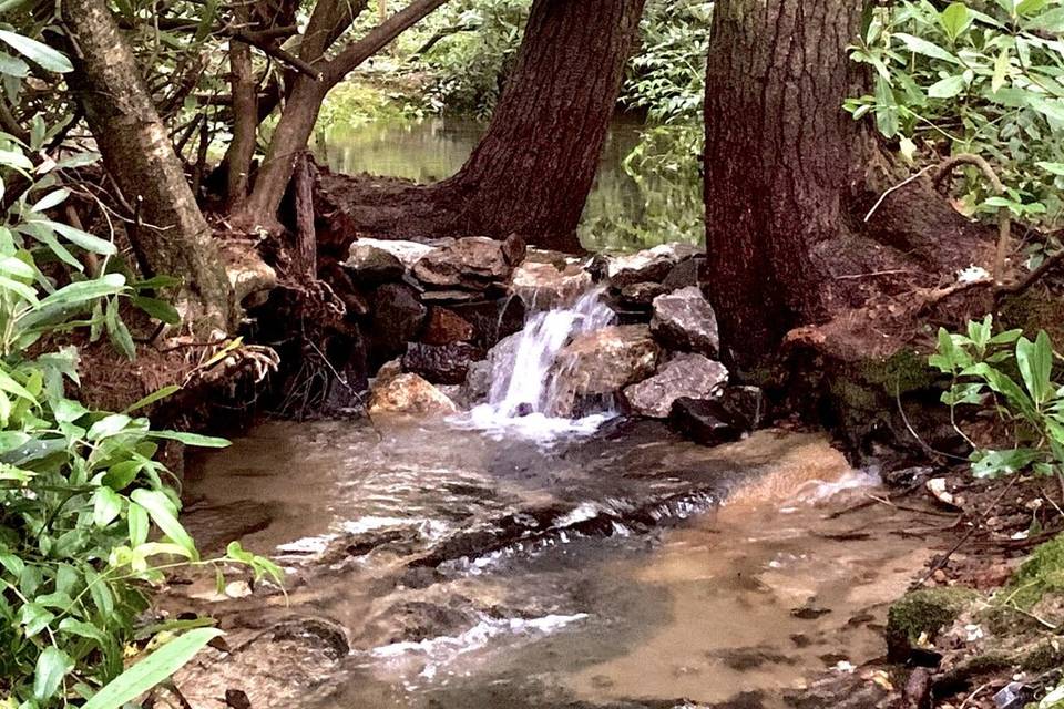 Private Creek with Waterfall