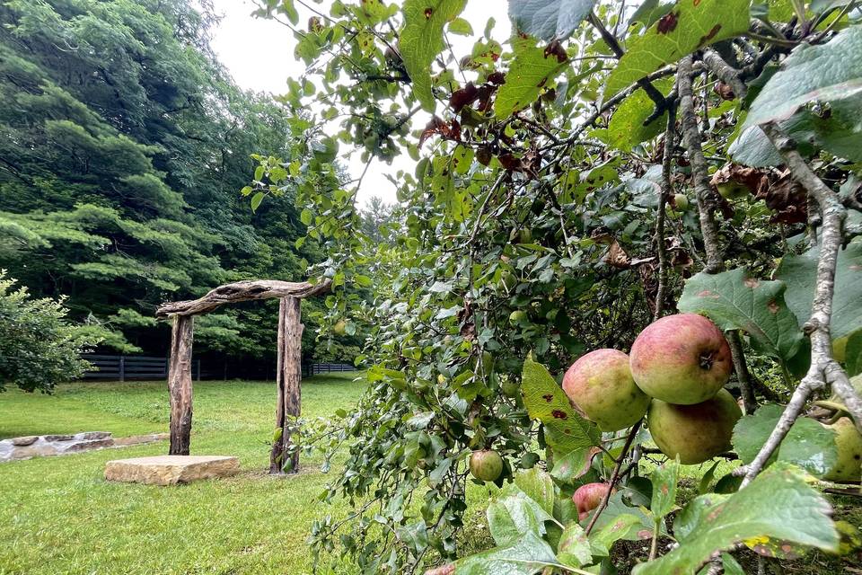 Apple Orchard Outdoor Chapel