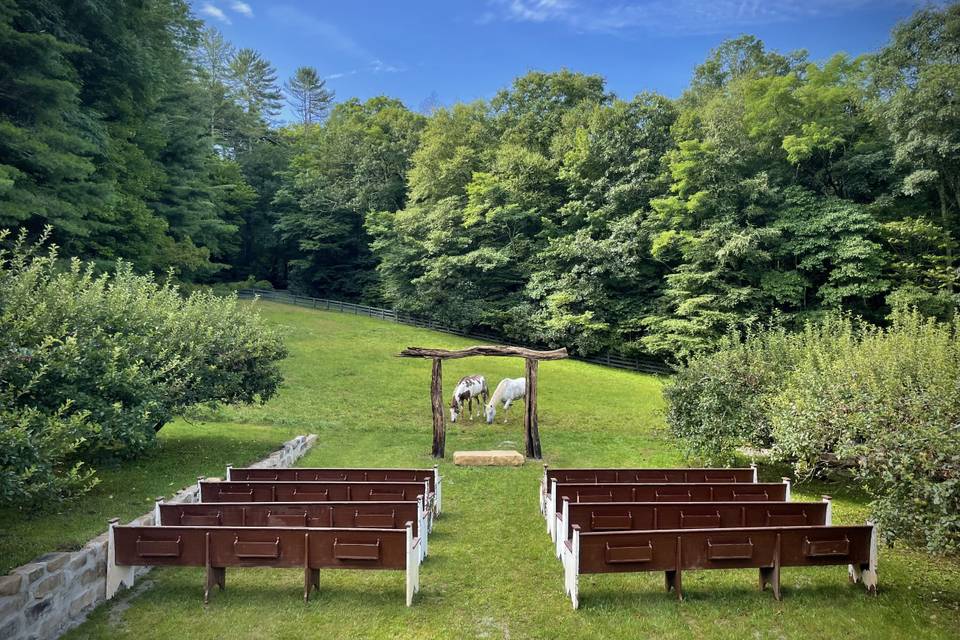 The Laurel Knob Farm