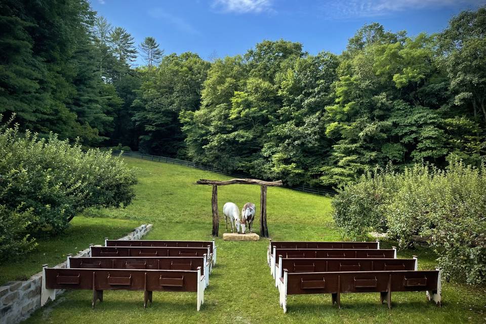Apple Orchard Outdoor Chapel