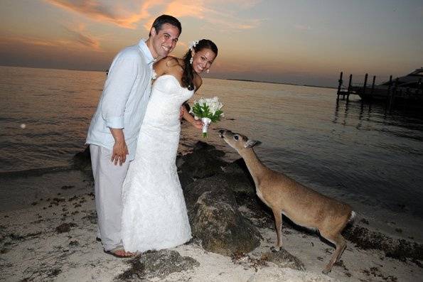 Aarons Key West Weddings