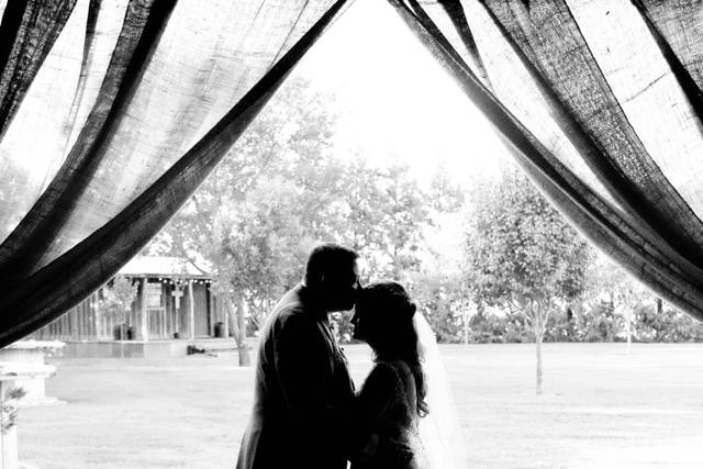 Herzog Wedding