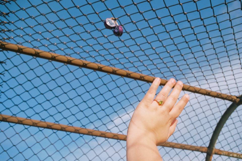 Engaged love locks