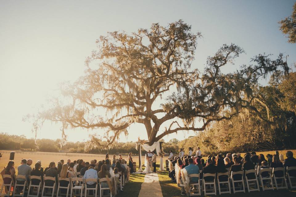 WEDDING