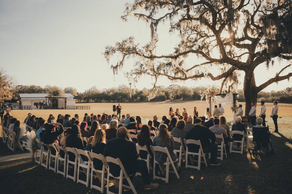 WEDDING