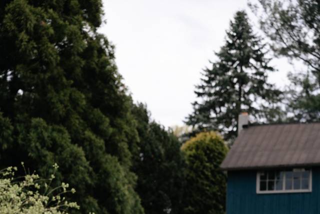 Garden bride and groom