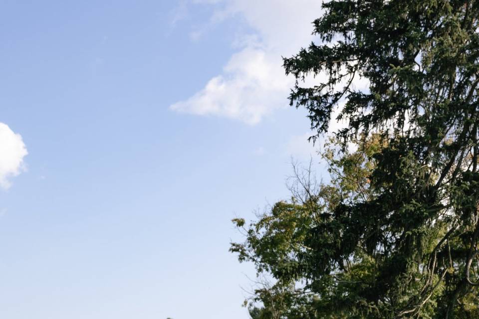 Classy wedding portraits