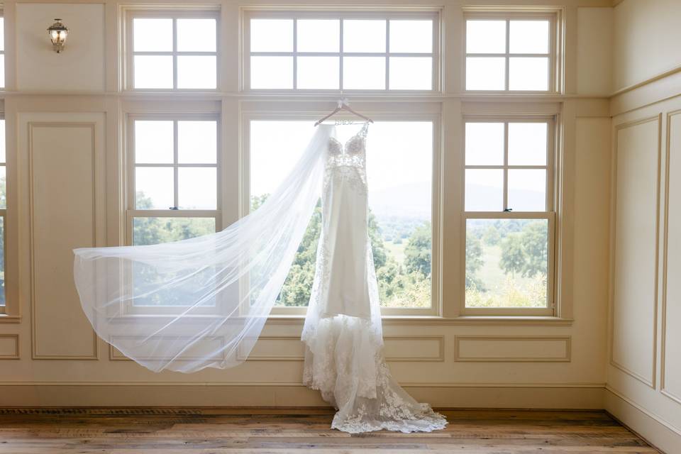 Dress hanging shot