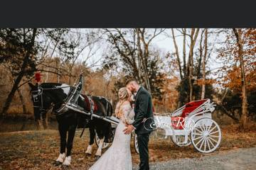 Carriage ride