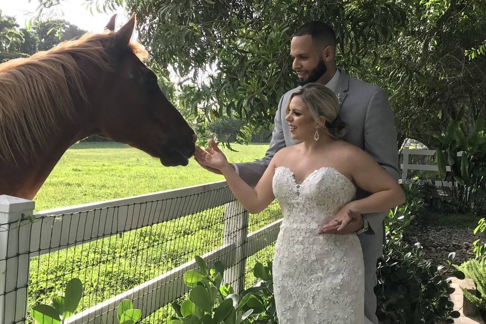 Reception Barn