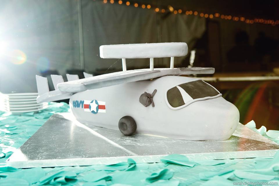 Replica aircraft as flown by the groom!