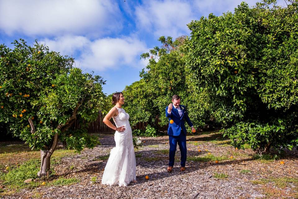 Twin Oaks Garden orange groves