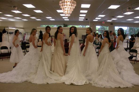 Group photo of brides
