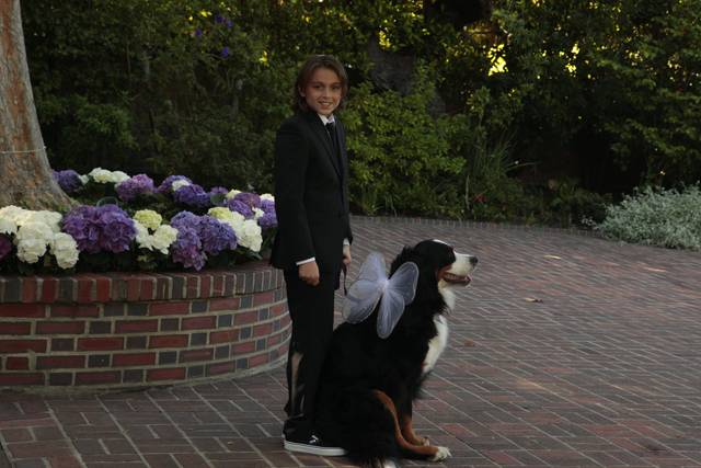 Ring bearers xo