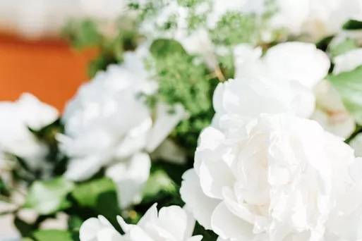 White arrangement