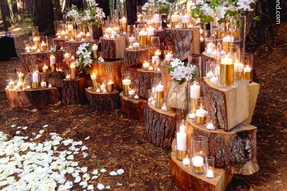 Woodland Wedding Inspiration. A big Impact for a lower cost