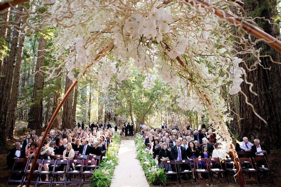 Gorgeous natural arch made of Blossom Branches and Orchids