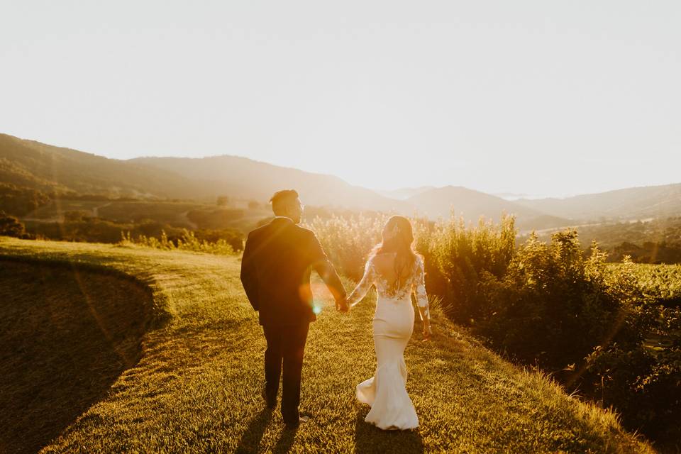 Vineyard walk at sunset