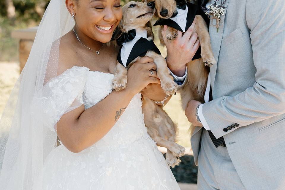 We are dog friendly!