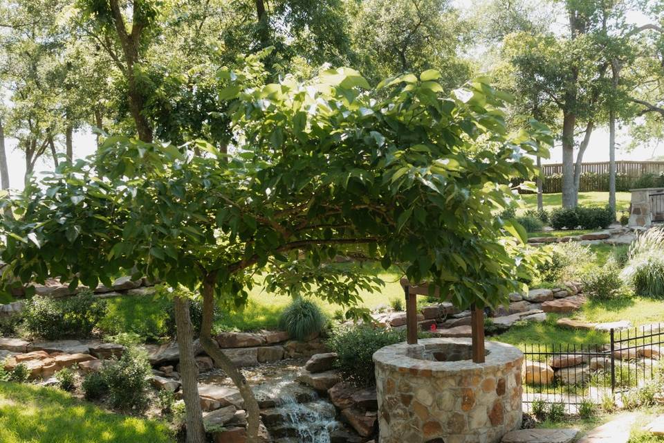 Water Feature