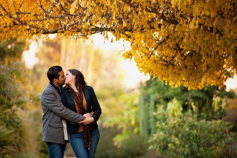 Engagement portrait