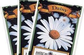Daisy Seed Packet
