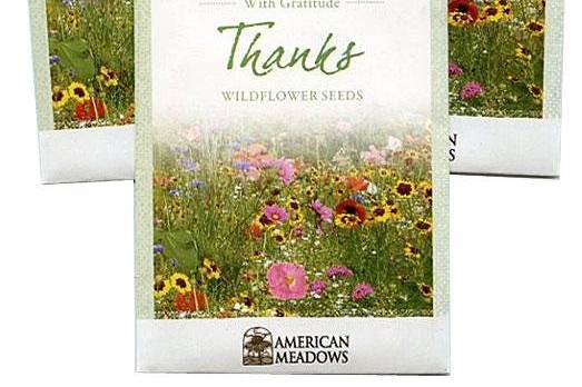 Favor Sized Wildflower Mix Seed Packet