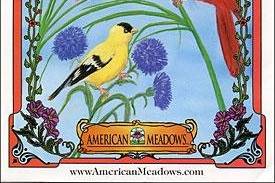 American Meadows