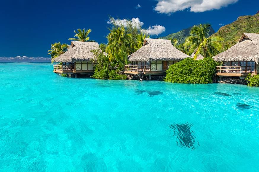 Dreaming of Tahiti