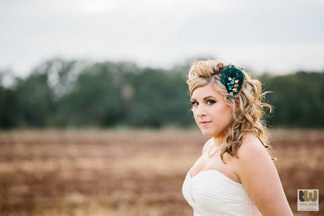 Todd White - Storyteller