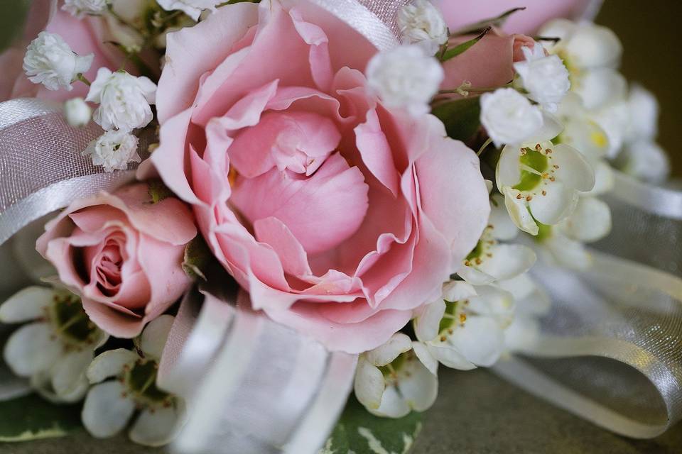 Mother of the Bride wrist corsage with soft pink spray roses, wax flower and baby's breath accented with sheer and satin ivory ribbon.