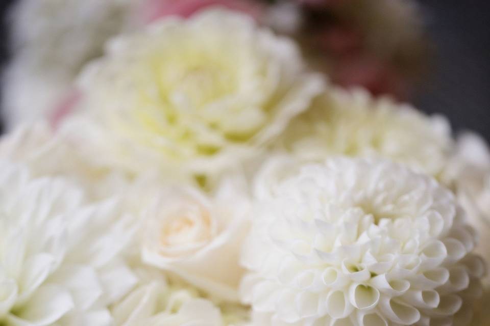 Lush bridal bouquet in creams and whites with roses, hydrangea and dahlias.