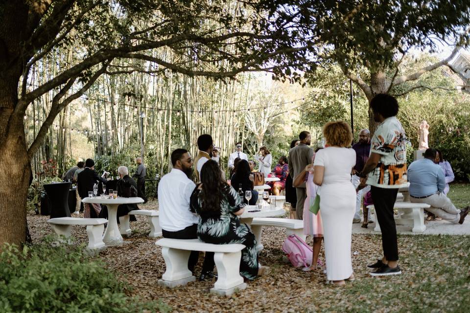Bamboo Grove