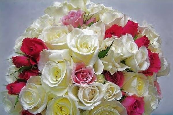 Bridal Bouquet: creamy white roses with several shades of pink spray roses and ivory spray roses