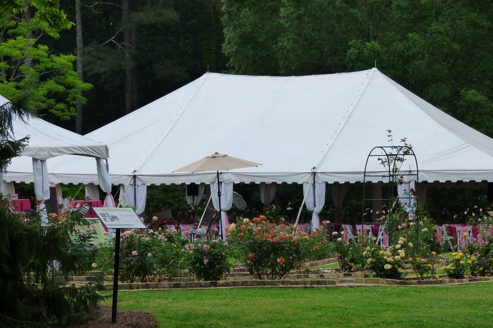 Large Tent
