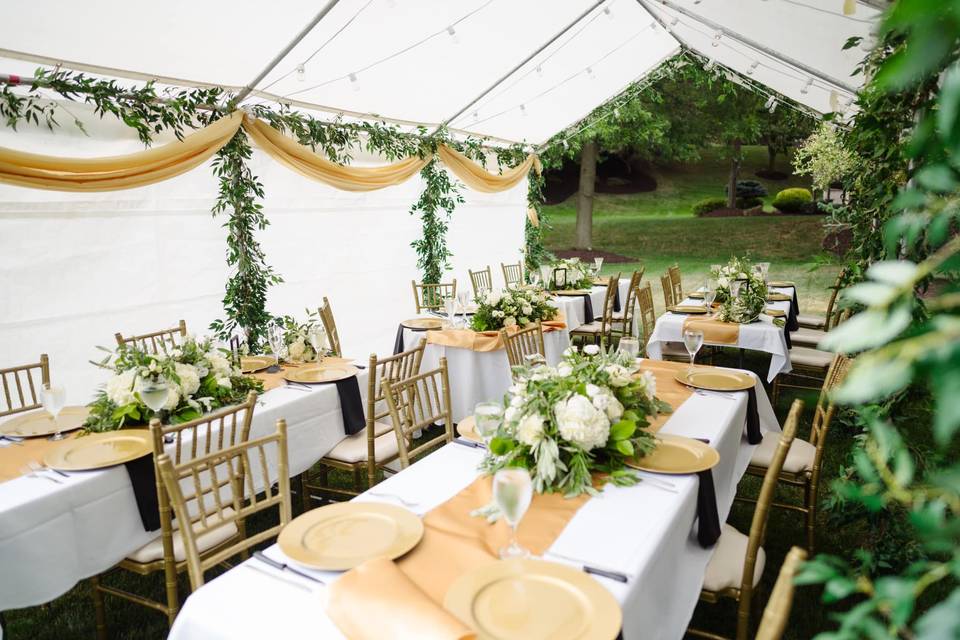 Intimate Backyard Wedding